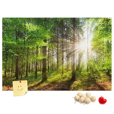 Nástenka do detskej izby S motívom lesa a východu slnka