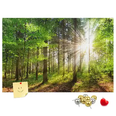 Nástenka do detskej izby S motívom lesa a východu slnka