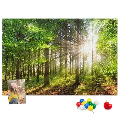 Nástenka do detskej izby S motívom lesa a východu slnka