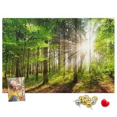Nástenka do detskej izby S motívom lesa a východu slnka