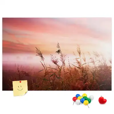 Nástenka do detskej izby Hmlisté ráno