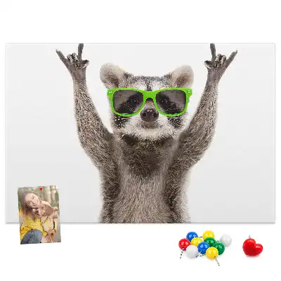 Nástenka do detskej izby Mýval v okuliaroch