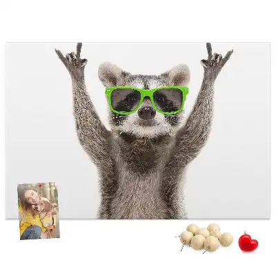 Nástenka do detskej izby Mýval v okuliaroch