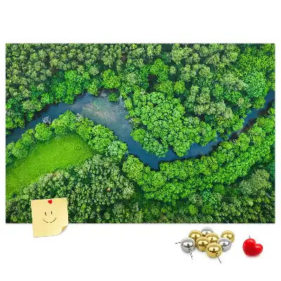 Nástenka do detskej izby Rieka v lese