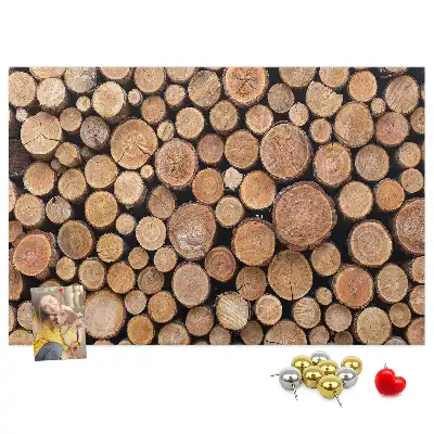 Nástenka do detskej izby Letokrúžky stromov