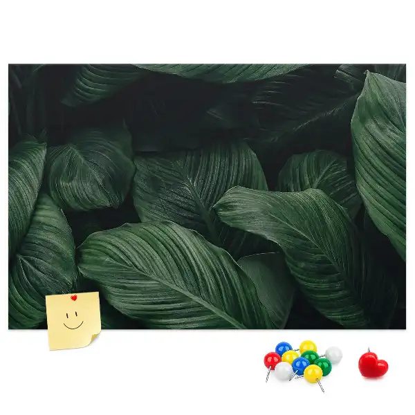 Korková nástenka s motívom tropickej monstery
