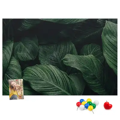 Korková nástenka s motívom tropickej monstery