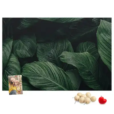 Korková nástenka s motívom tropickej monstery