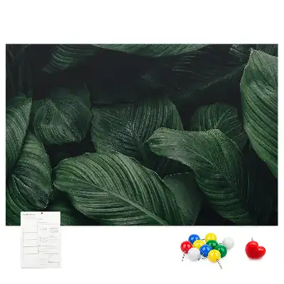 Korková nástenka s motívom tropickej monstery
