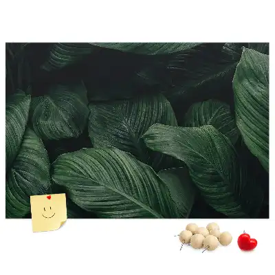 Korková nástenka s motívom tropickej monstery