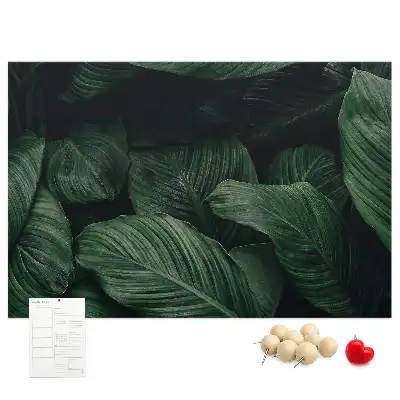 Korková nástenka s motívom tropickej monstery
