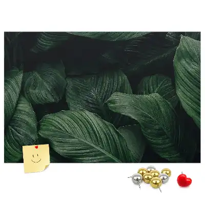 Korková nástenka s motívom tropickej monstery