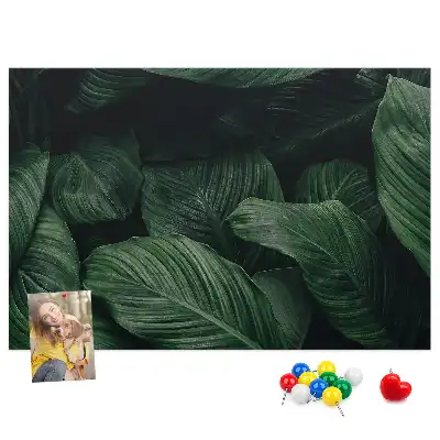Korková nástenka s motívom tropickej monstery