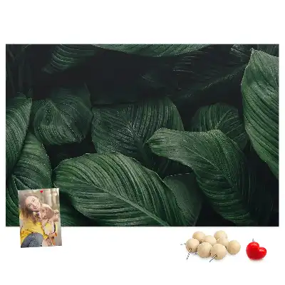 Korková nástenka s motívom tropickej monstery