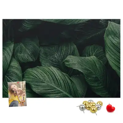 Korková nástenka s motívom tropickej monstery