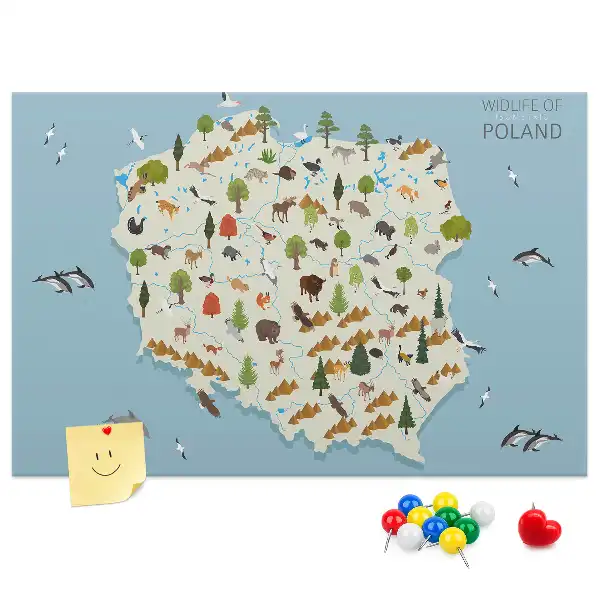 Korková nástenka s mapou zvierat Poľska