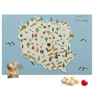 Korková nástenka s mapou zvierat Poľska