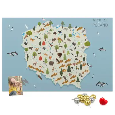 Korková nástenka s mapou zvierat Poľska