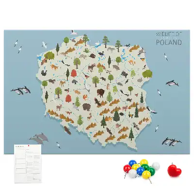 Korková nástenka s mapou zvierat Poľska