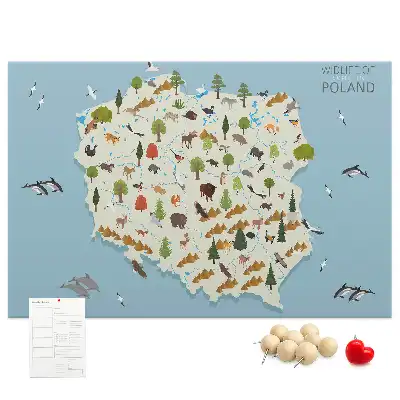 Korková nástenka s mapou zvierat Poľska