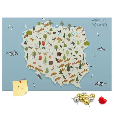 Korková nástenka s mapou zvierat Poľska