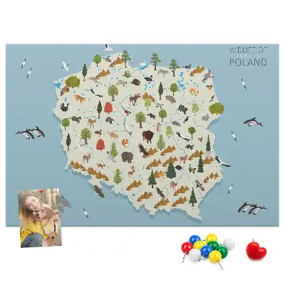 Korková nástenka s mapou zvierat Poľska
