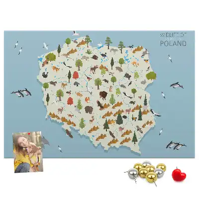 Korková nástenka s mapou zvierat Poľska