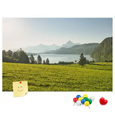 Korková nástenka Hory a pole