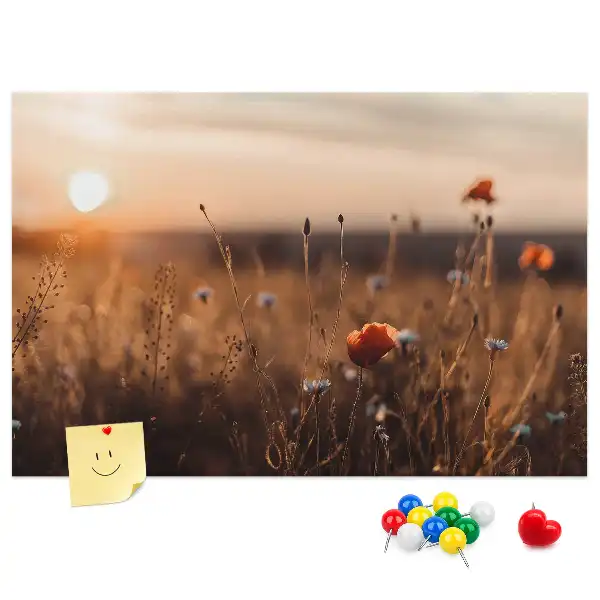 Nástenka do detskej izby s motívom východu slnka na poli