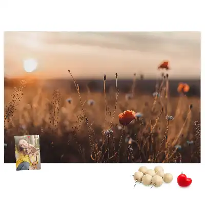 Nástenka do detskej izby s motívom východu slnka na poli