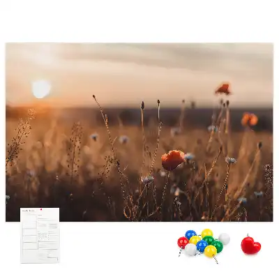 Nástenka do detskej izby s motívom východu slnka na poli