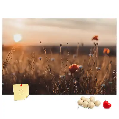 Nástenka do detskej izby s motívom východu slnka na poli