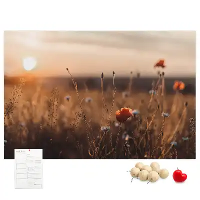 Nástenka do detskej izby s motívom východu slnka na poli
