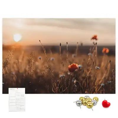 Nástenka do detskej izby s motívom východu slnka na poli