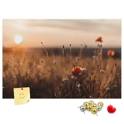 Nástenka do detskej izby s motívom východu slnka na poli