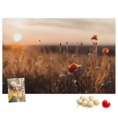 Nástenka do detskej izby s motívom východu slnka na poli
