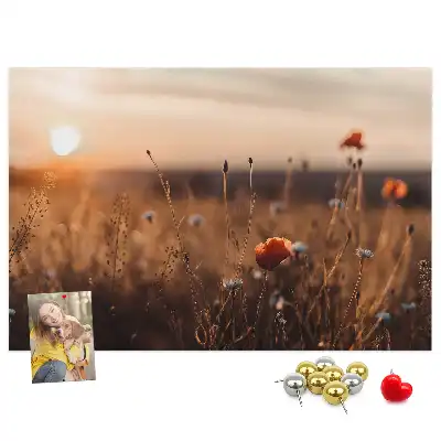 Nástenka do detskej izby s motívom východu slnka na poli