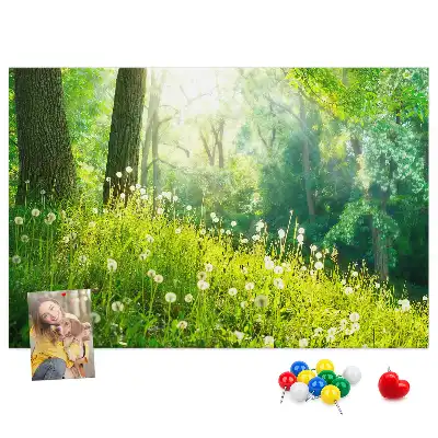 Nástenka do detskej izby Jarná príroda