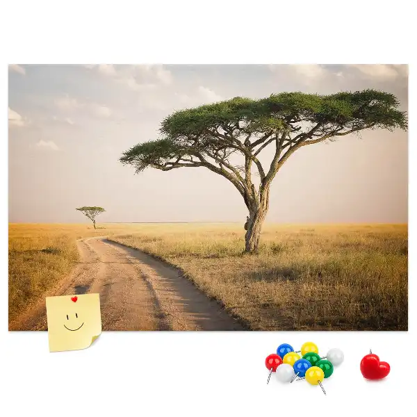 Nástenka do detskej izby s motívom africkej krajiny