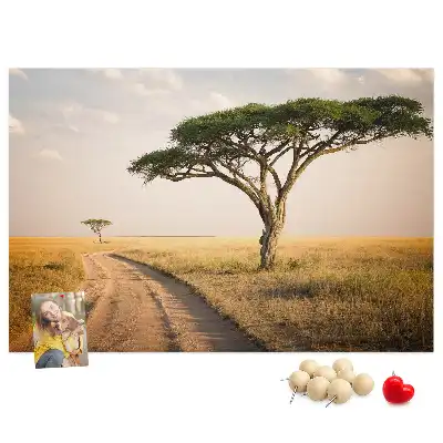 Nástenka do detskej izby s motívom africkej krajiny