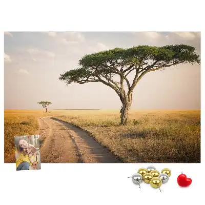Nástenka do detskej izby s motívom africkej krajiny