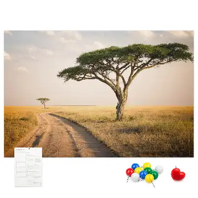 Nástenka do detskej izby s motívom africkej krajiny