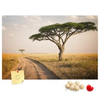 Nástenka do detskej izby s motívom africkej krajiny