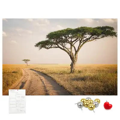 Nástenka do detskej izby s motívom africkej krajiny