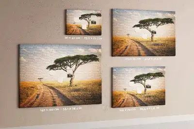 Nástenka do detskej izby s motívom africkej krajiny