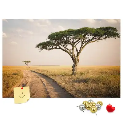 Nástenka do detskej izby s motívom africkej krajiny