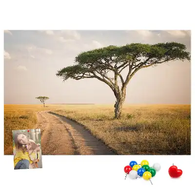 Nástenka do detskej izby s motívom africkej krajiny