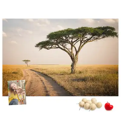 Nástenka do detskej izby s motívom africkej krajiny