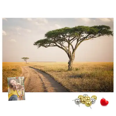 Nástenka do detskej izby s motívom africkej krajiny