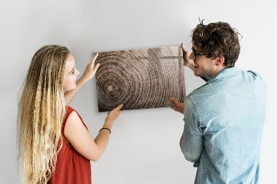 Magnetická kresliaca tabuľa Kmeň stromu